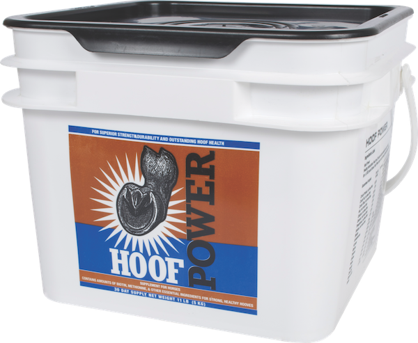 DMHC_HoofPower