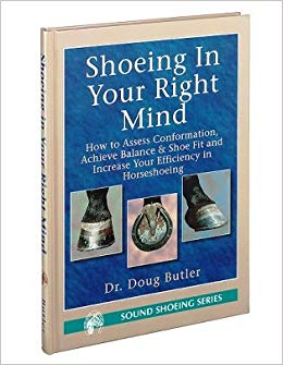 shoeinginyourrightmind