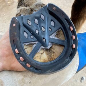 Austin Edens Plexus Open Toe Sample Install