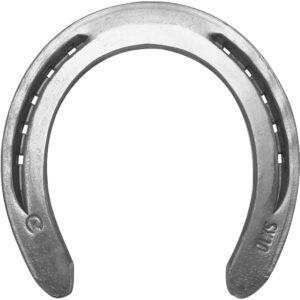 Kerckhaert SX10 Front Side Clipped Front View