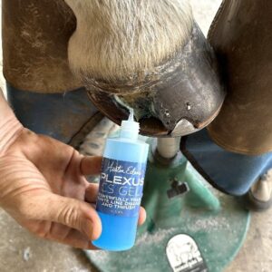 Austin Edens Plexus CS Gel Hoof View